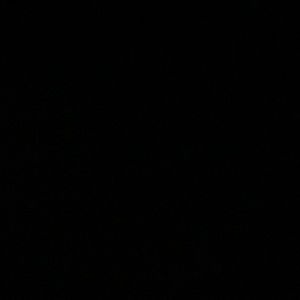 Meet your Posher, Shayla